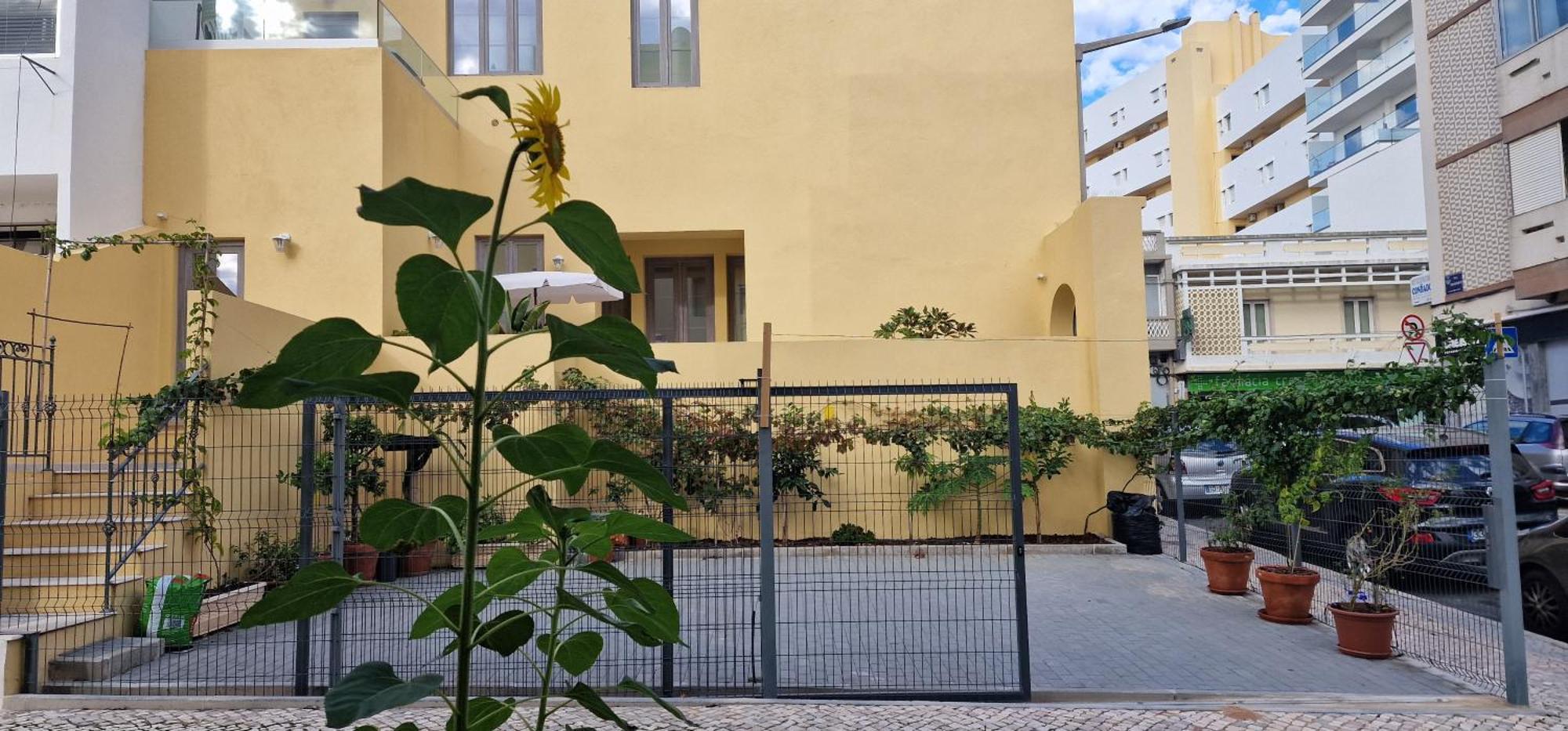 Ferienwohnung Casa Da Acoteia Distrikt Distrikt Faro Exterior foto